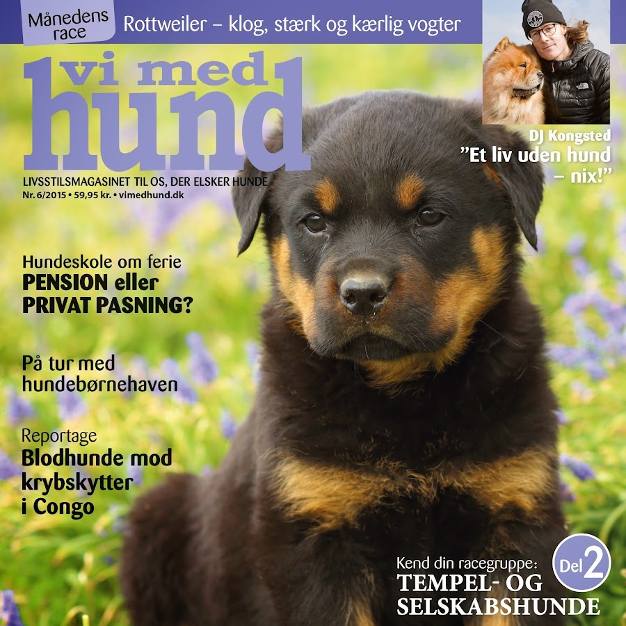 Ultimate Guide to Dog Training, Health & Well-being Tips